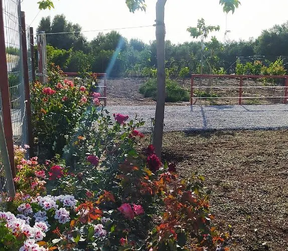 Ilios - Country House