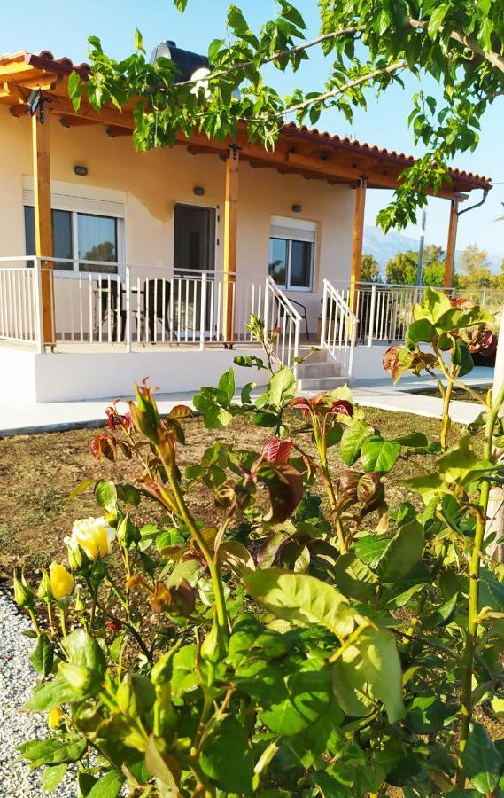 Ilios - Holiday home