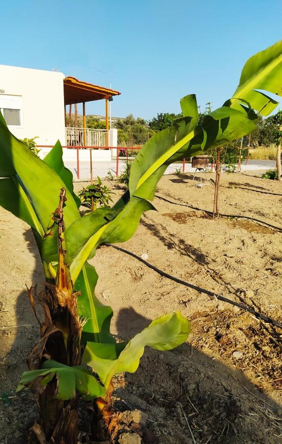 Ilios - Holiday home Kalamaki (Heraklion)