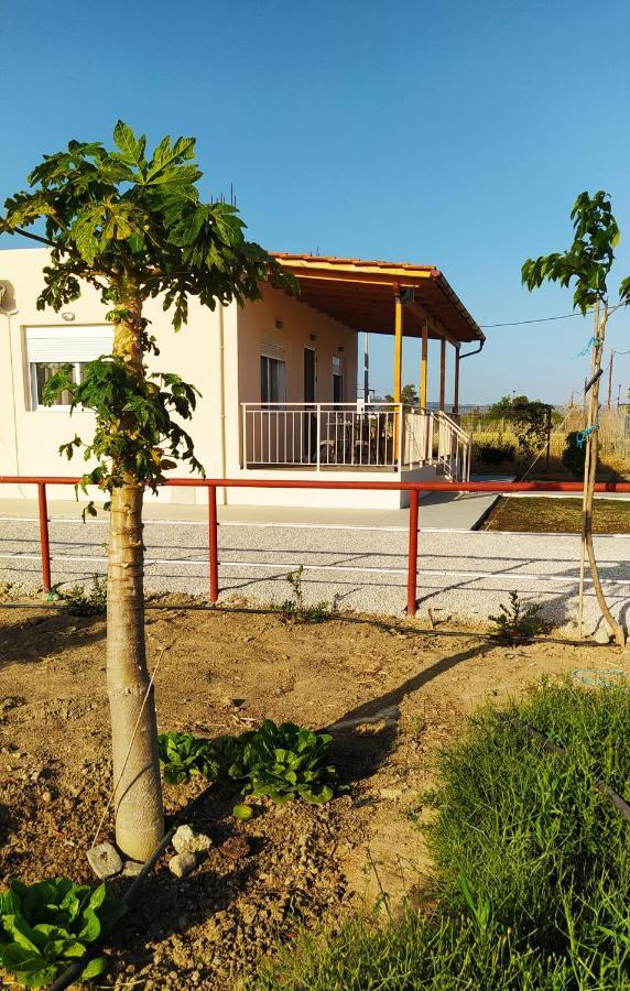 Ilios - Holiday home